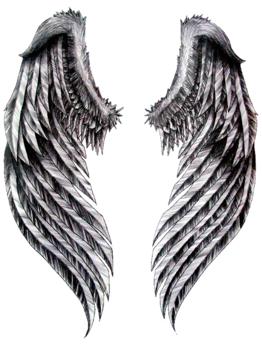 a pair of black angel wings