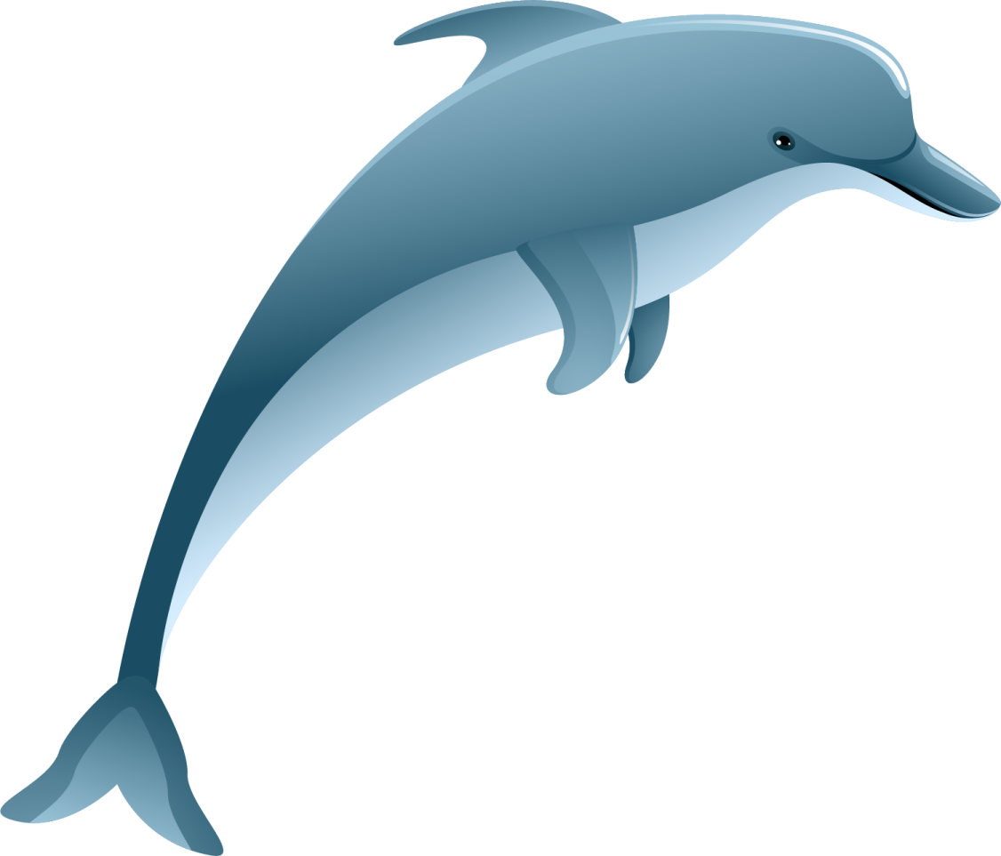 a dolphin jumping out of the water