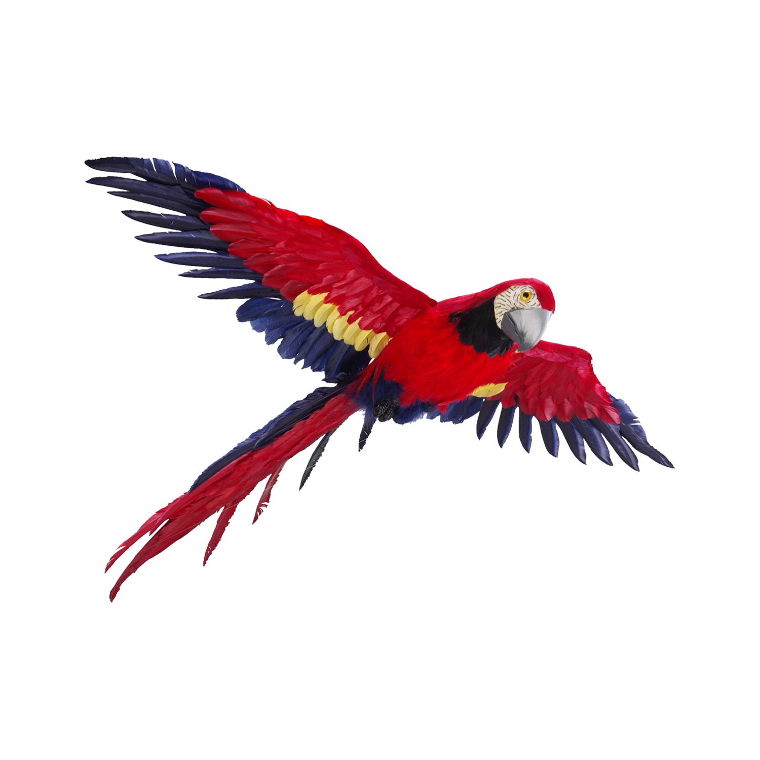 a red and yellow parrot flying in the air