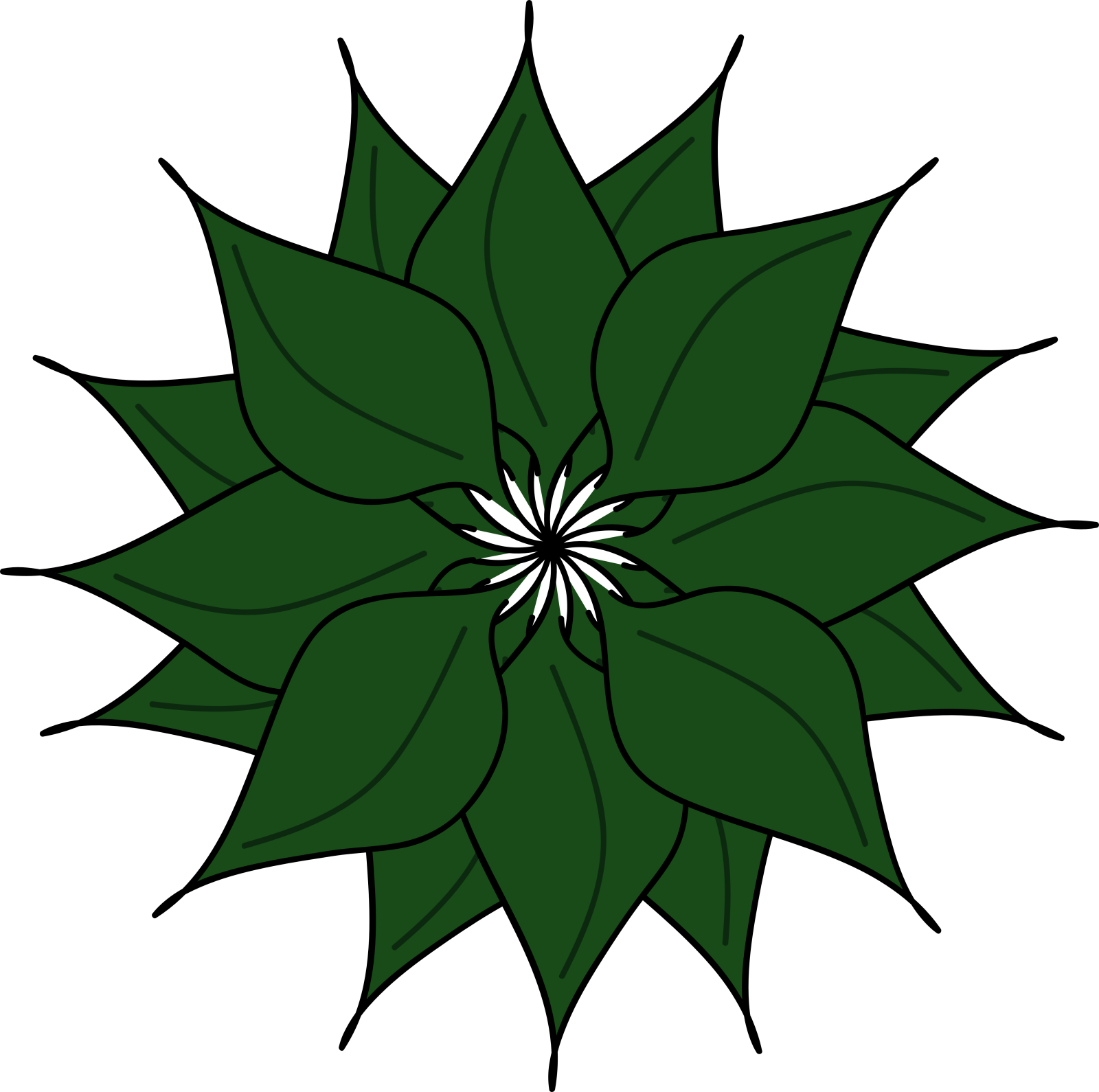 a green flower on white background