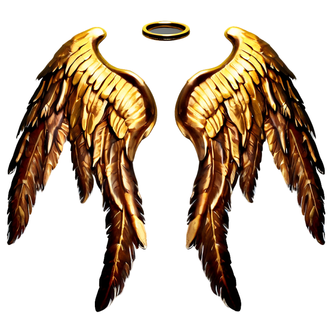 a pair of gold angel wings
