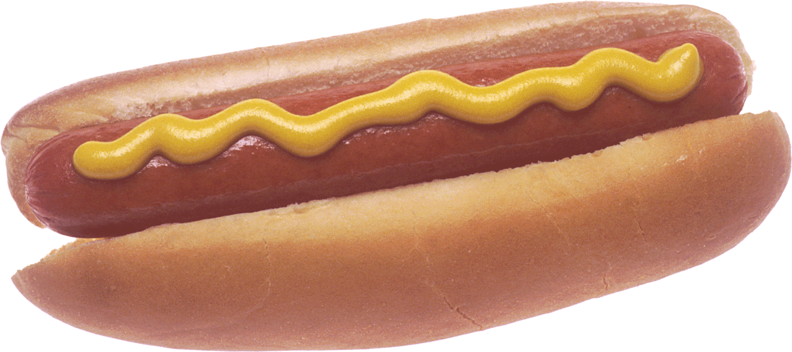 a hot dog on a bun