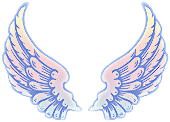 a pair of angel wings
