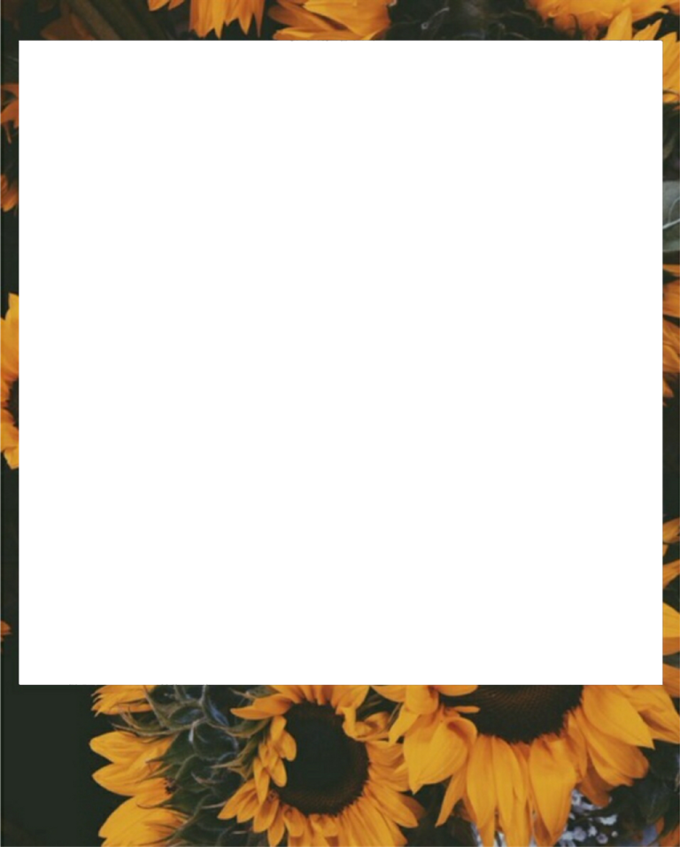 a square frame with sunflowers on it