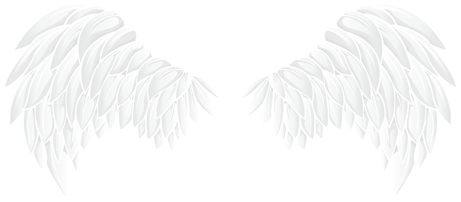 two white wings on a white background