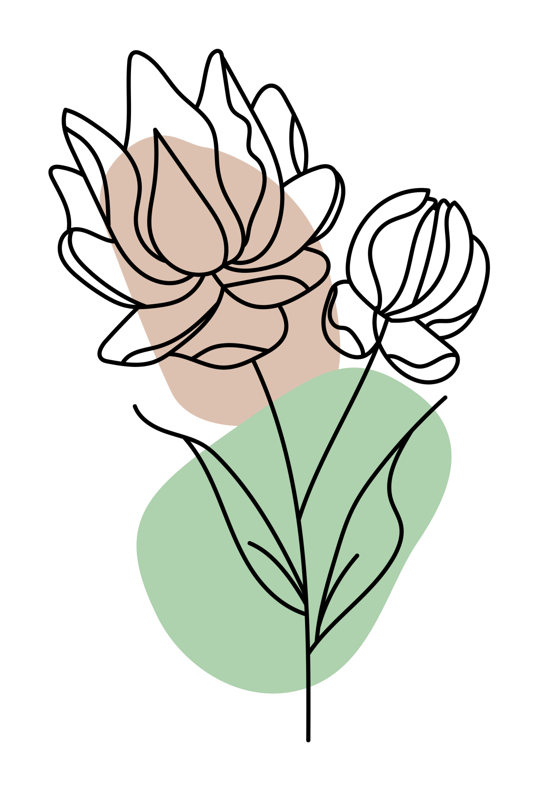 a line drawing of two flowers