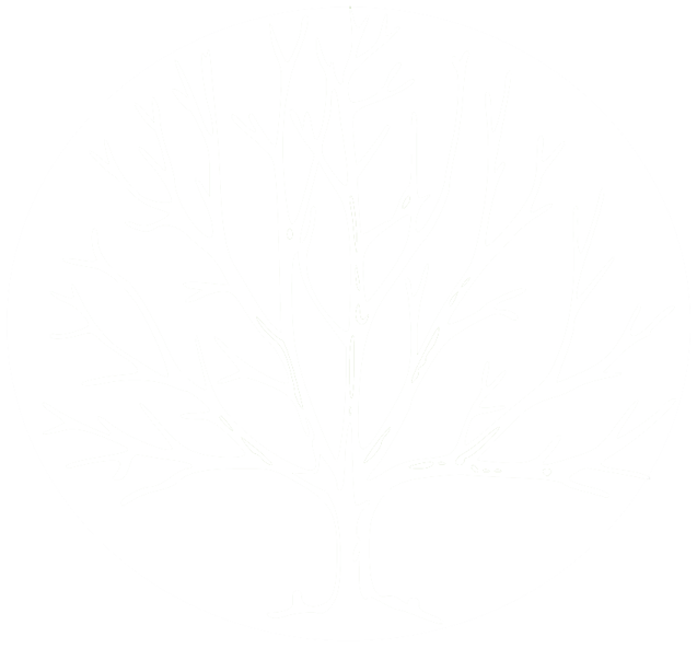 a black and white drawing of a tree