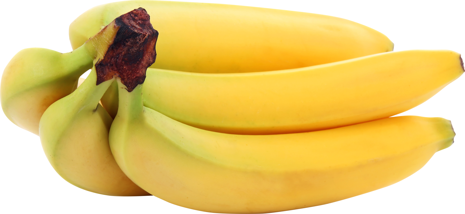 a bunch of bananas on a white background