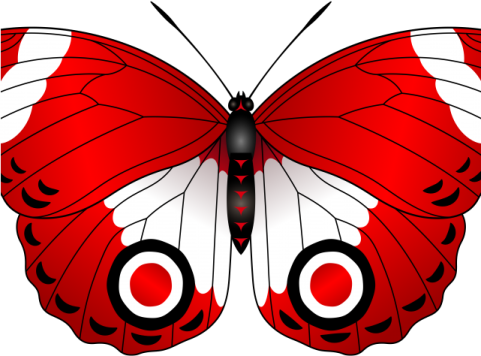a butterfly with red and white wings