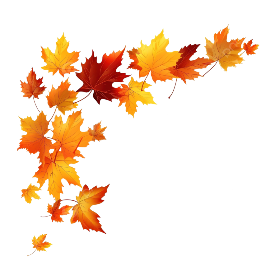 an image of a bunch of autumn leaves