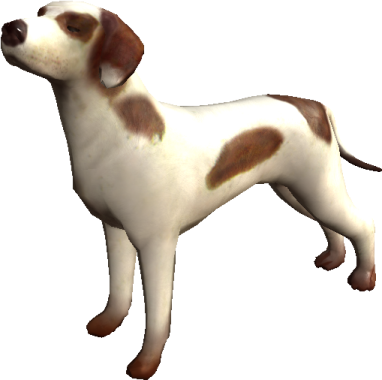a brown and white dog standing on a white background