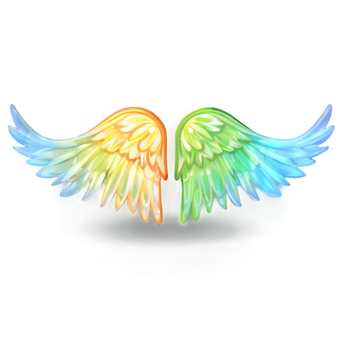 a pair of colorful wings