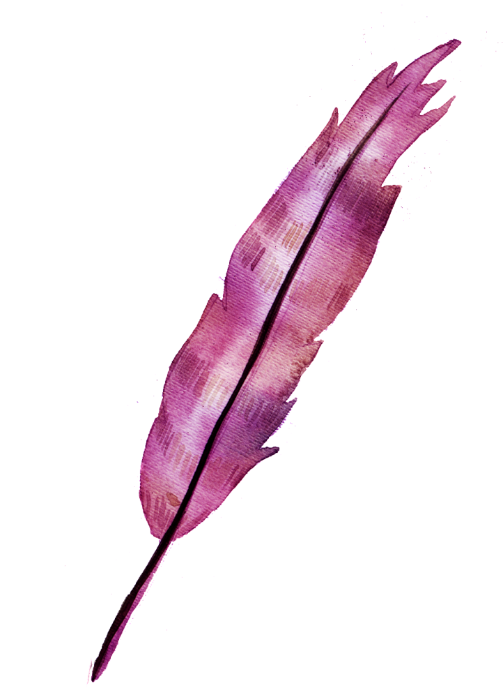 a purple feather on a white background