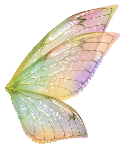 a close up of a butterfly wing