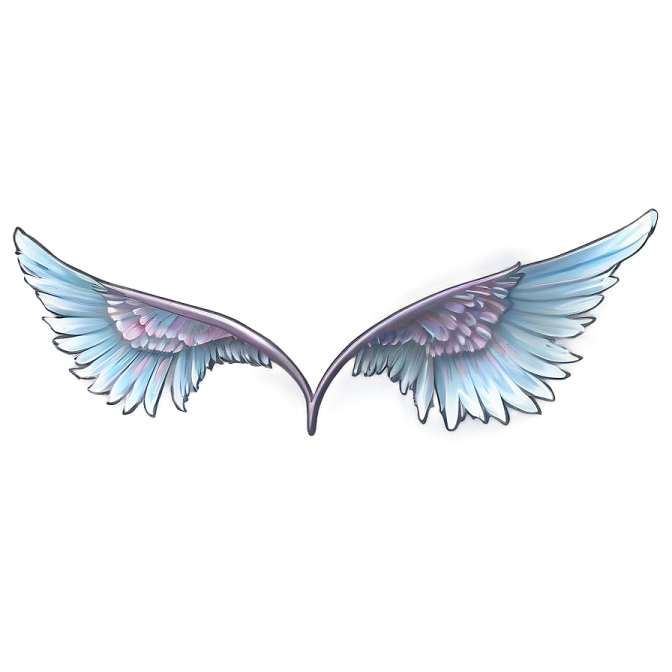 a pair of wings on a white background