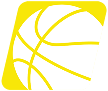 a basketball ball on a white background