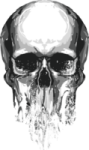 a black and white image of a skull