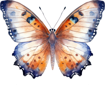 a watercolor painting of a butterfly