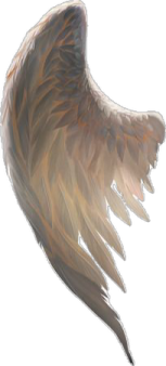 a drawing of an angel's wing