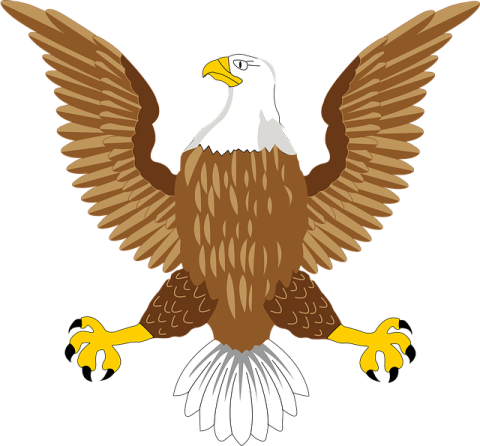 an eagle with its wings spread out