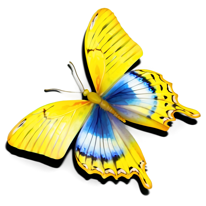 a yellow butterfly with blue and yellow wings