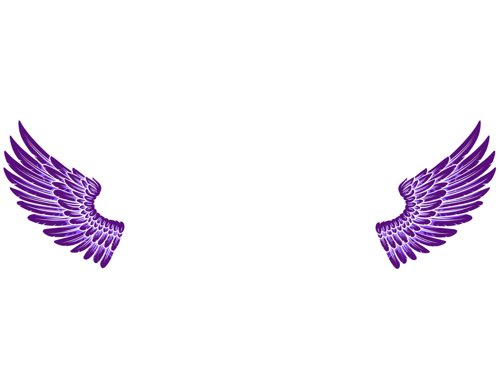 a pair of purple wings