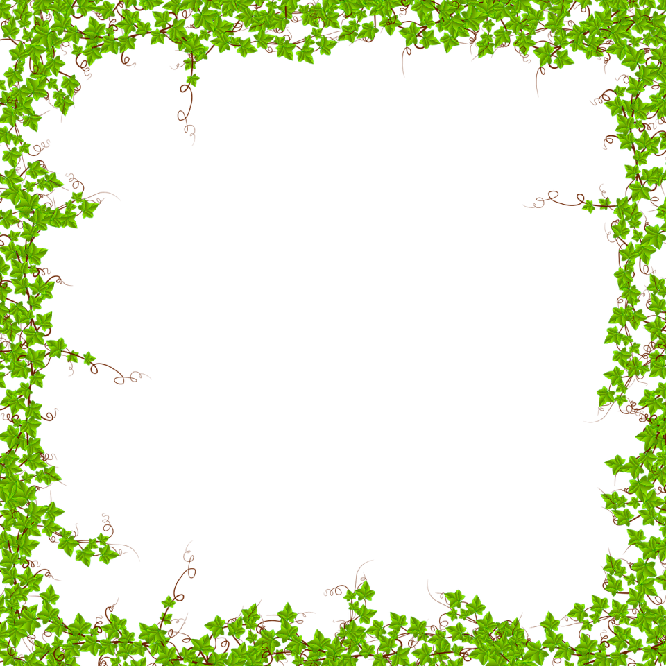 a green ivy frame on a white background