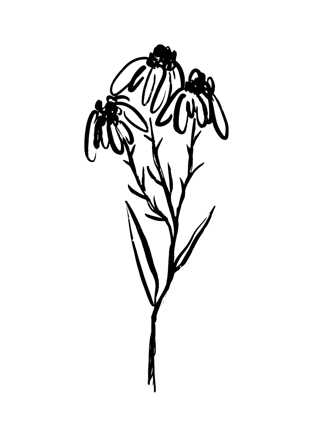 a black and white drawing of a flower