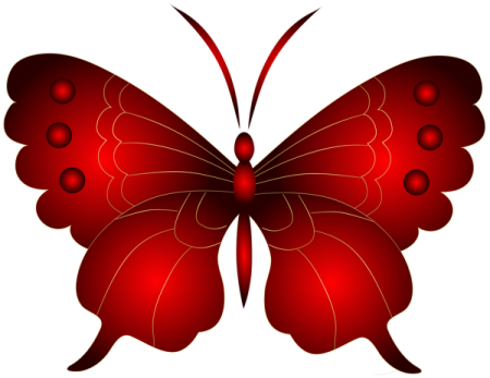 a red butterfly on white background