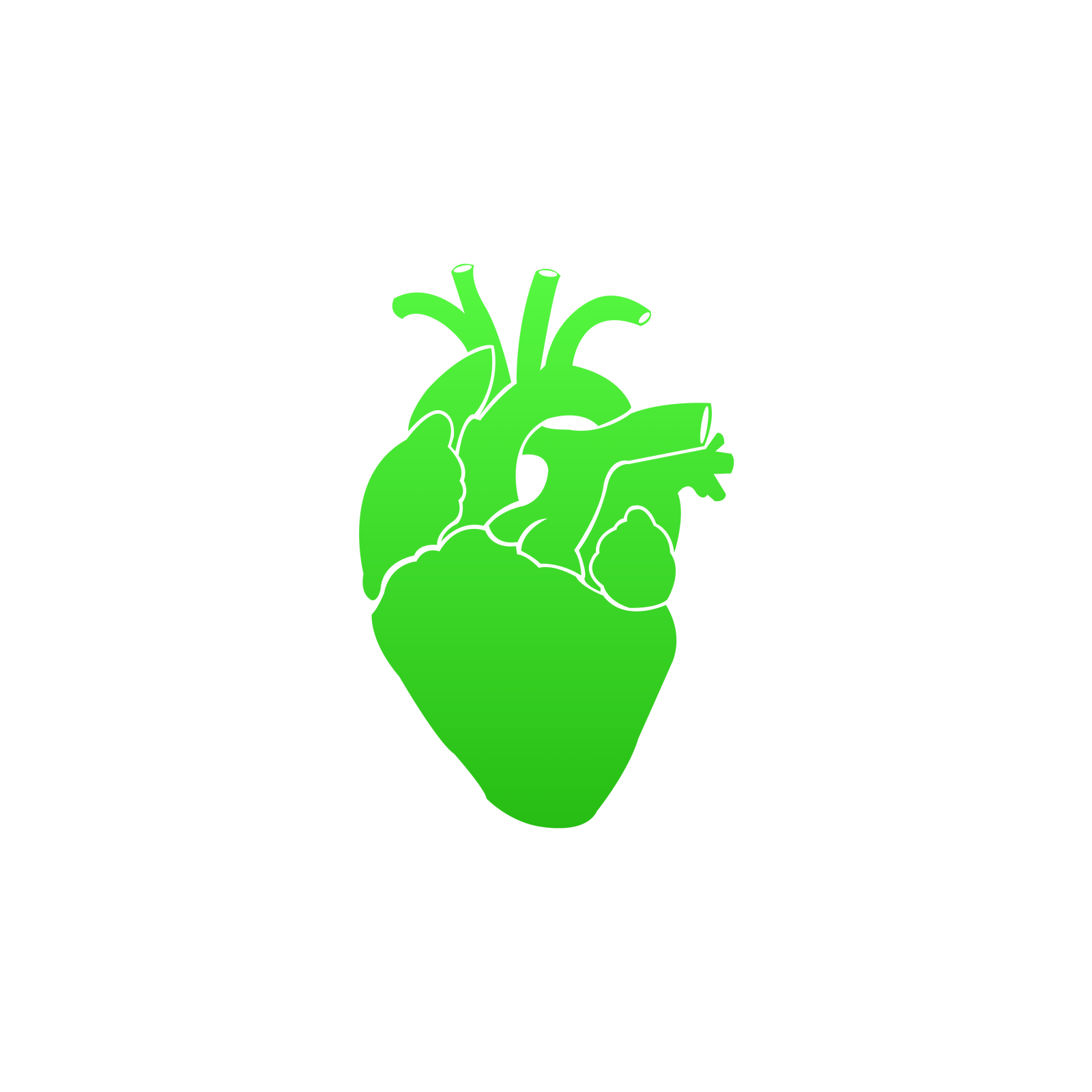 a green heart on a white background