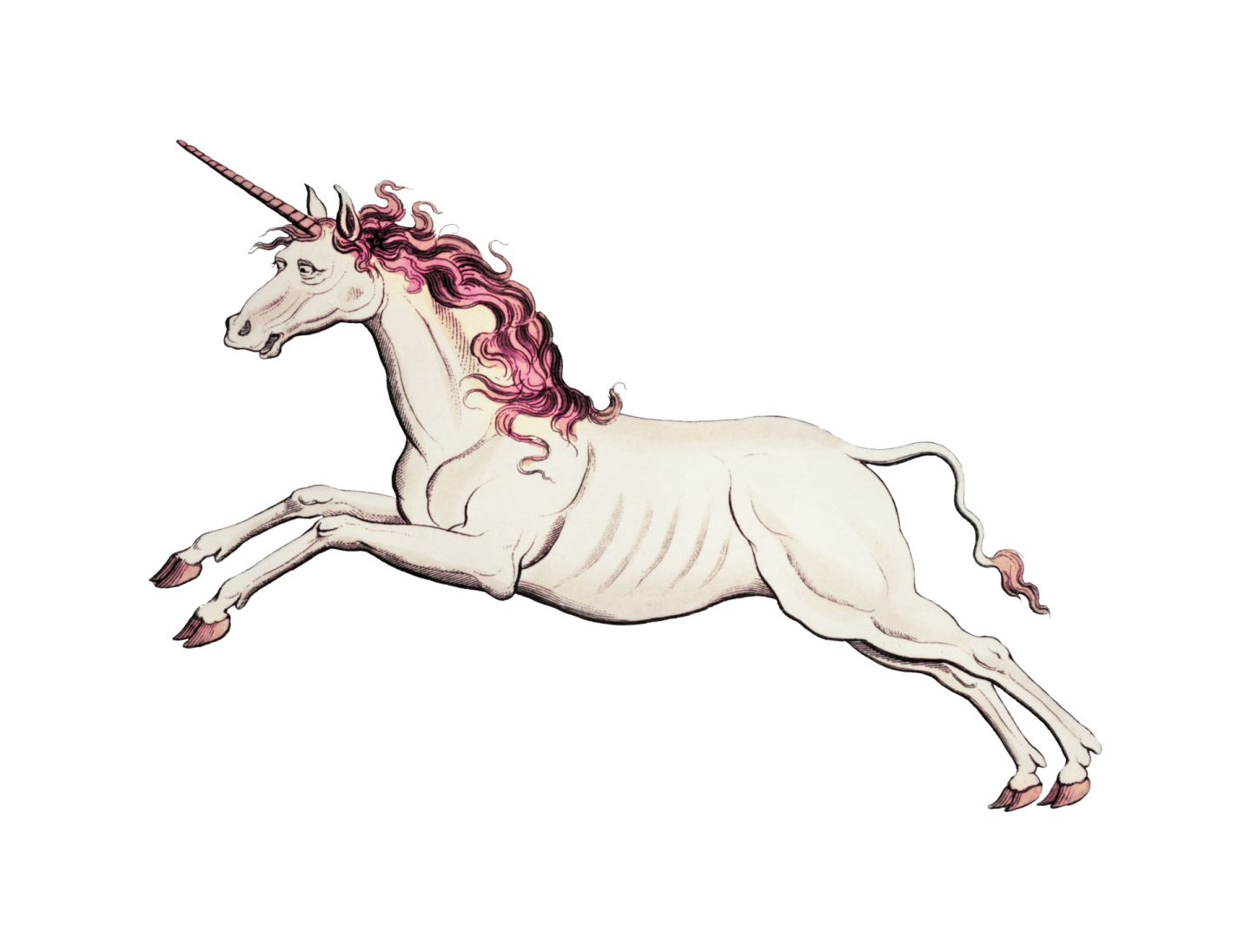 a drawing of a unicorn with pink hair