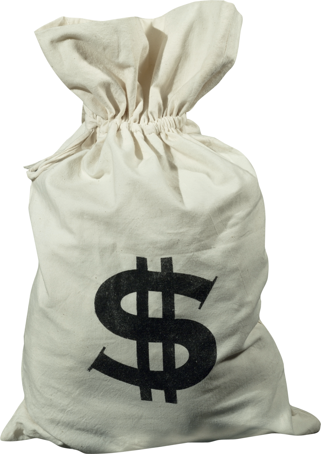 a bag with a dollar sign on it