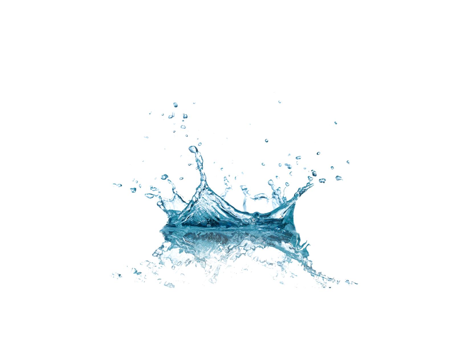 a splash of water on a white background
