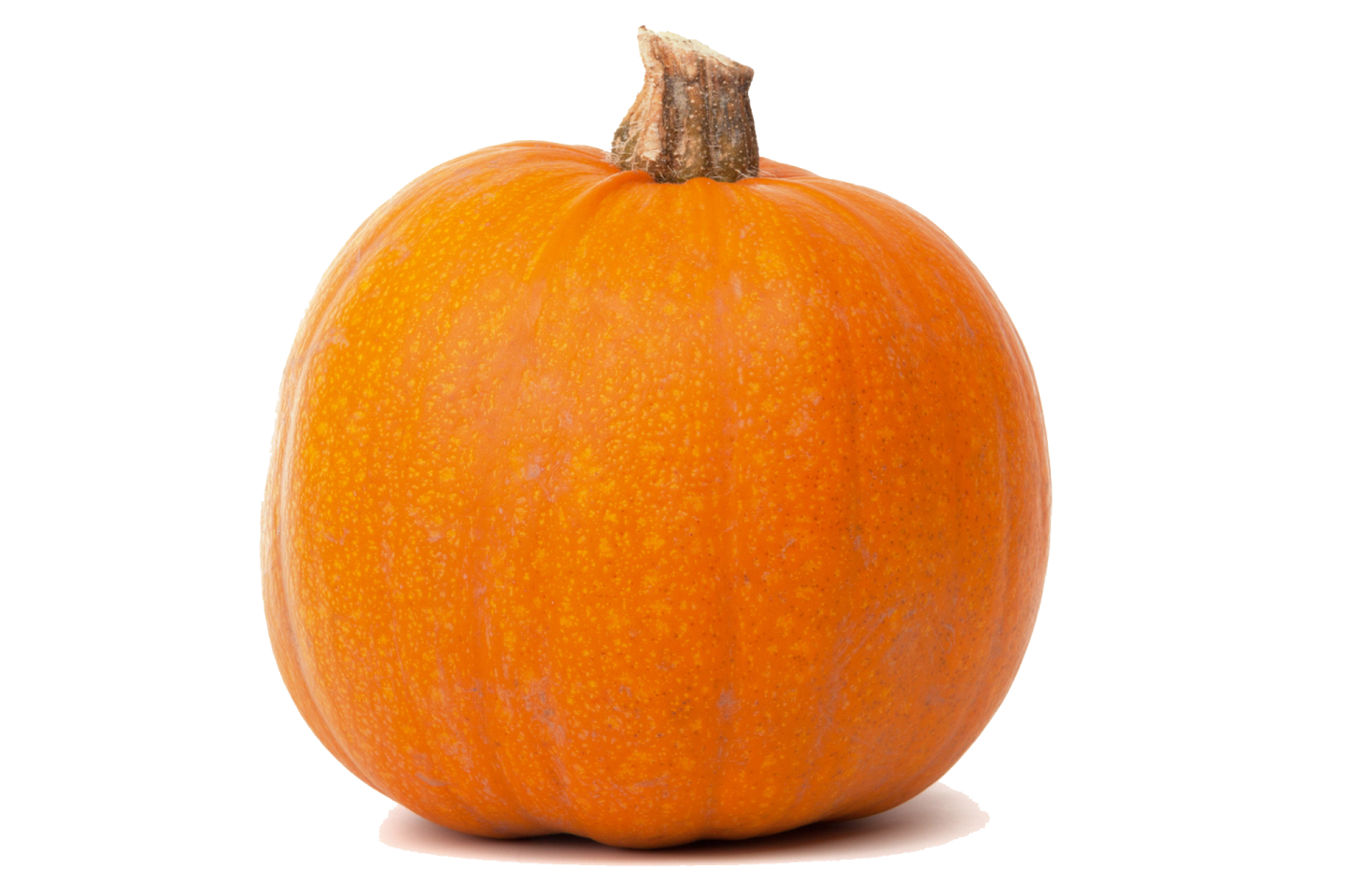 an orange pumpkin on a white background