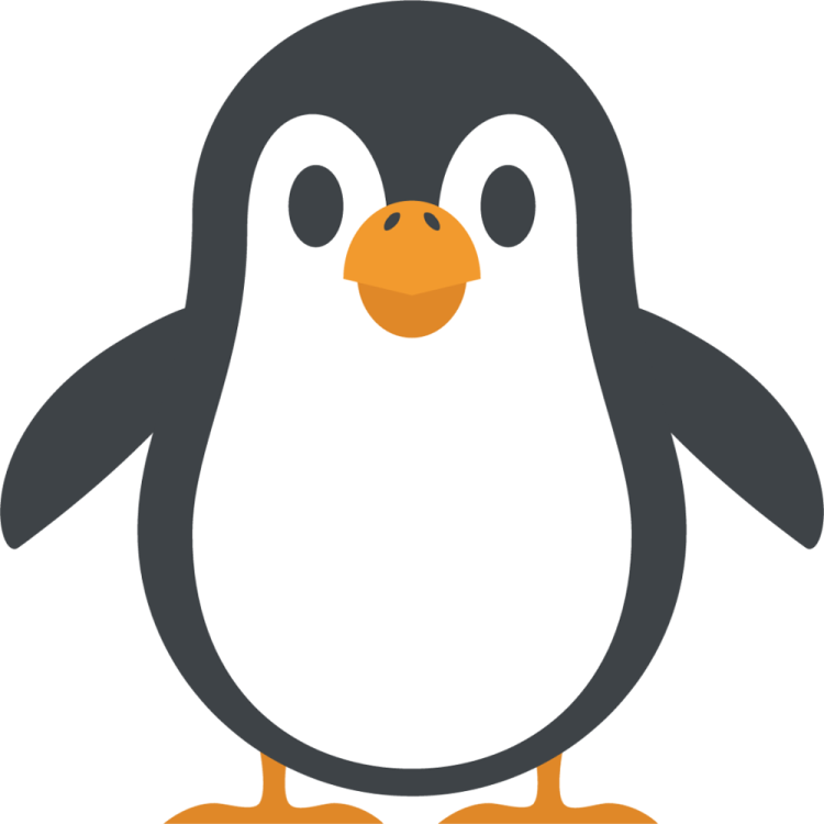 a penguin with a black and white face