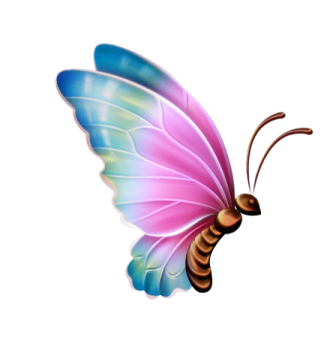 a pink and blue butterfly on a white background