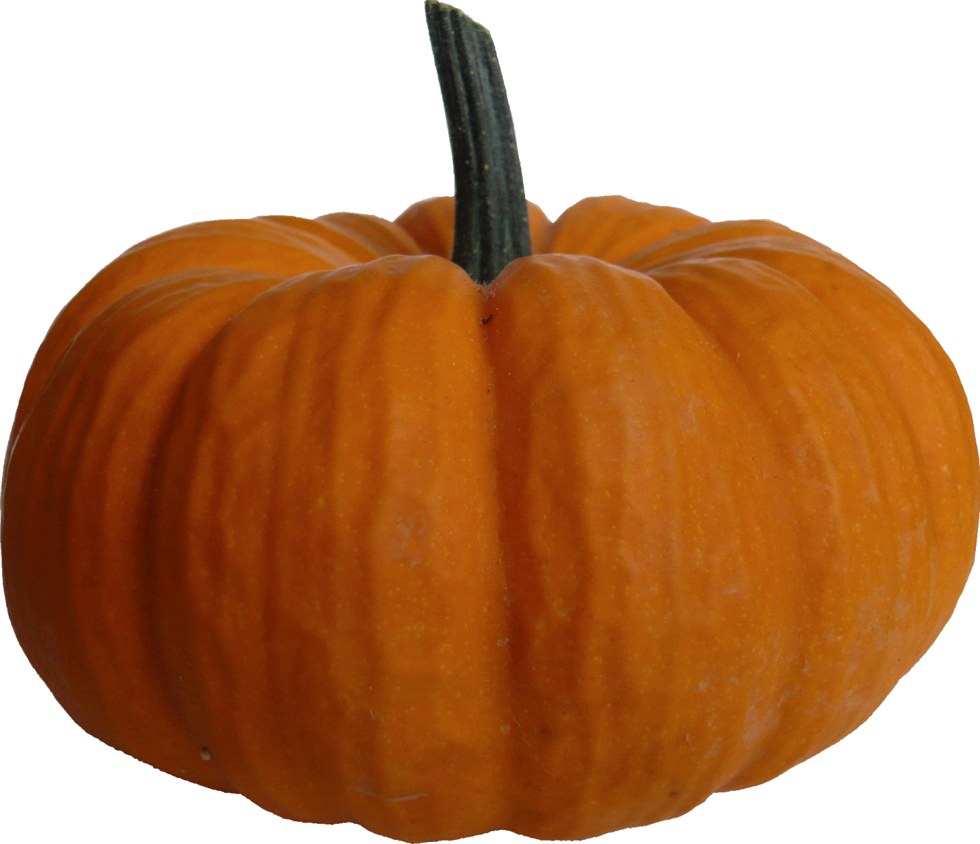 a small orange pumpkin on a white background