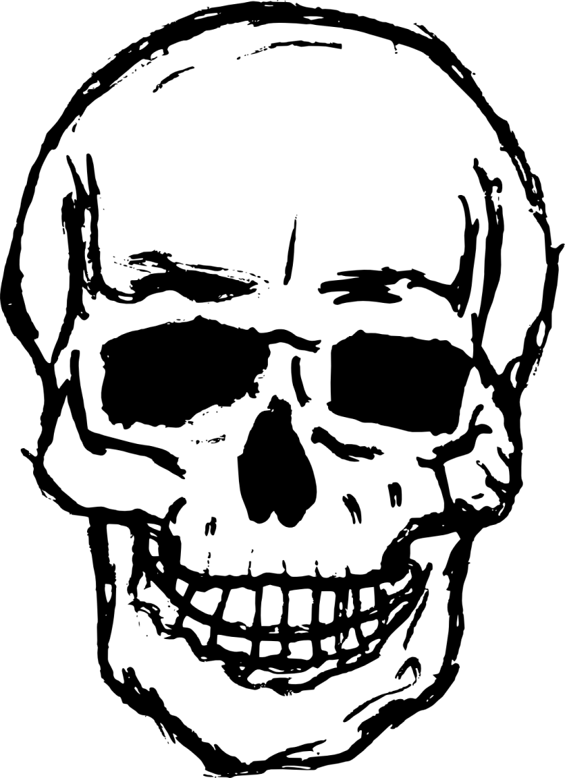 a black and white drawing of a skull