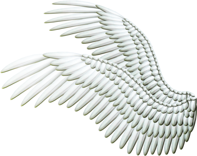 an image of a white angel wing