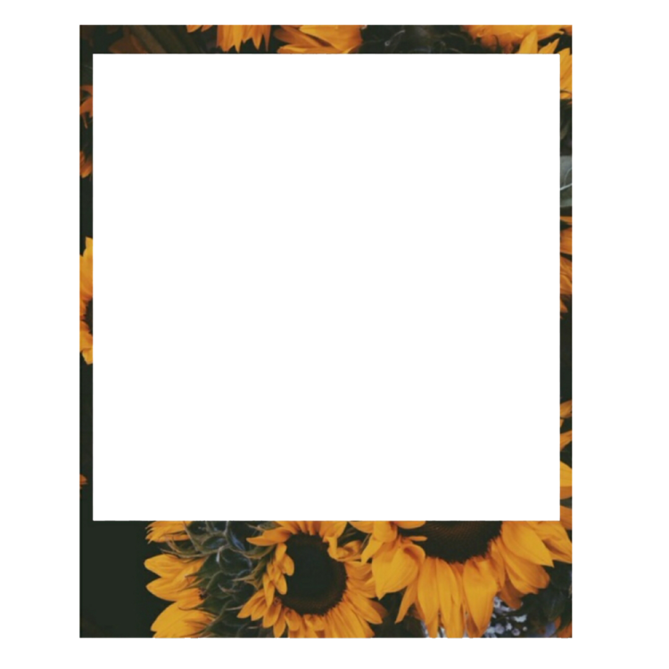 a square frame with sunflowers on it