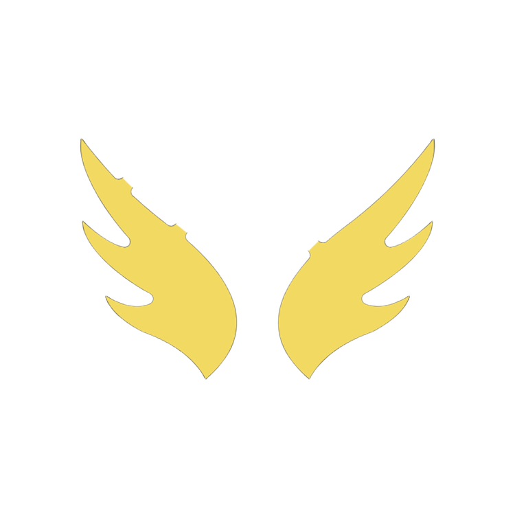 a pair of yellow wings