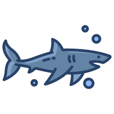 a shark swimming in the ocean