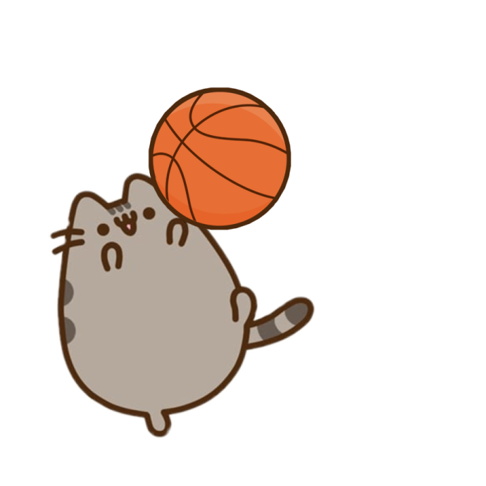 a cat with a basketball ball on its head