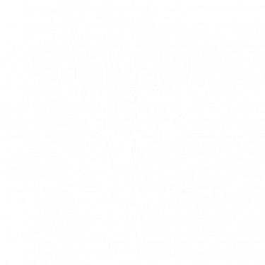 a black and white drawing of a flower