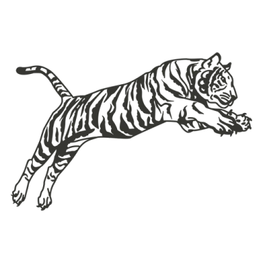 a black and white tiger leaping