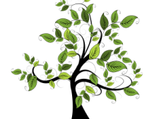 a tree with green leaves