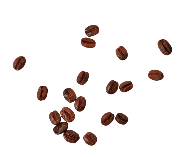 coffee beans on a white background