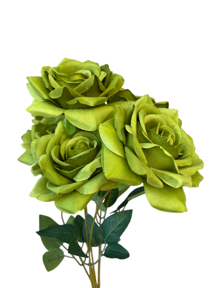 a bunch of green roses on a white background