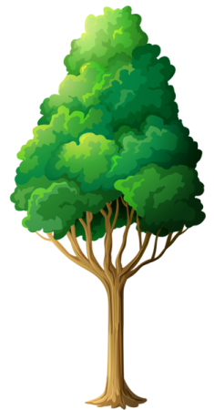 a tree with green leaves