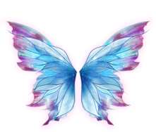a blue butterfly on a white background